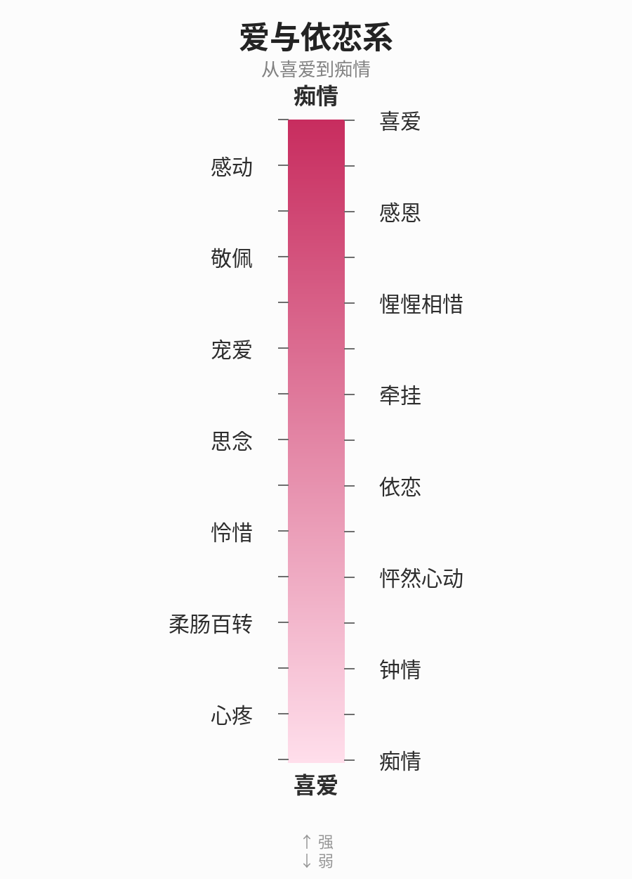 爱与依恋系光谱